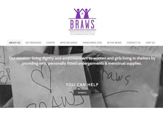 BRAWS: Bringing Resources to Aid Women's Shelters - February 2018